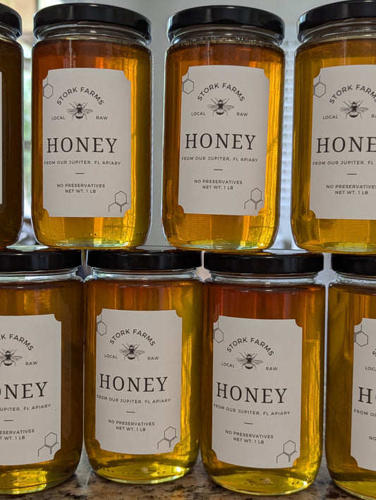 Spring Honey - 1 lb